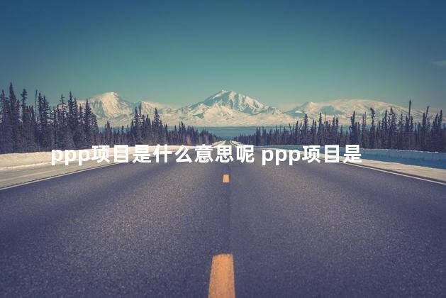 ppp项目是什么意思呢 ppp项目是什么意思说简单点